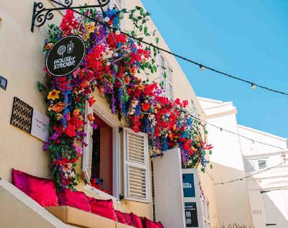 House_of_Stroop._verkleind
